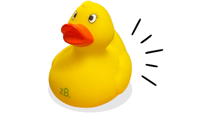 zB. Badeente Find the Duck